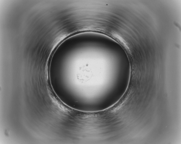 X0000096200892200802011257