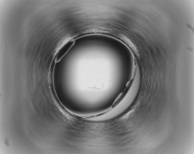 X0000096200893200802011257