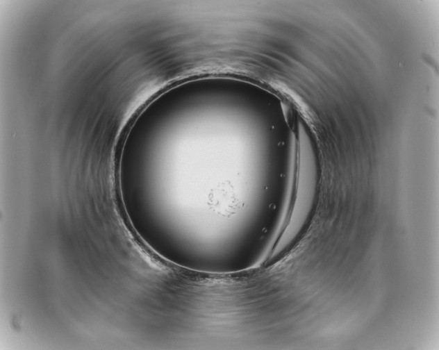 X0000096200894200802011257