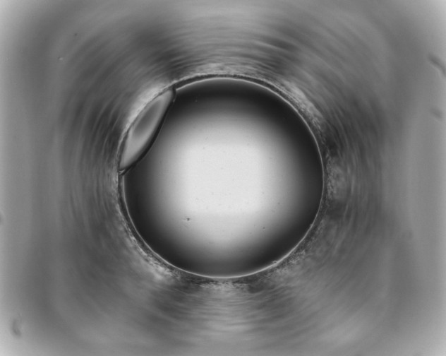 X0000096200896200802011257