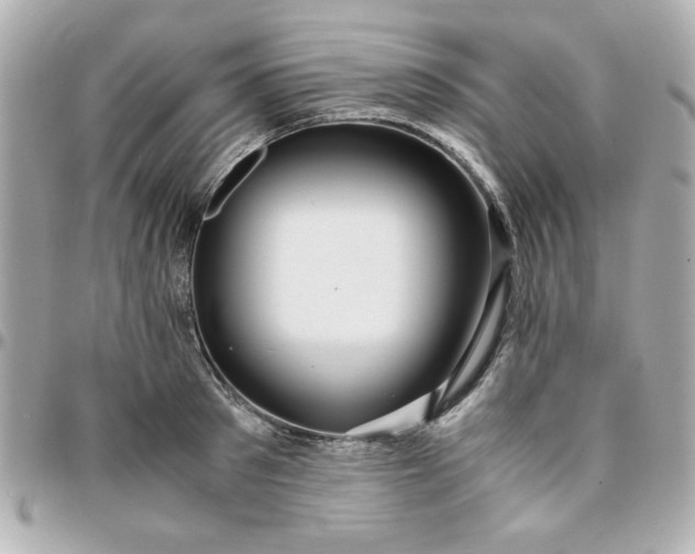 X0000096200897200802011257