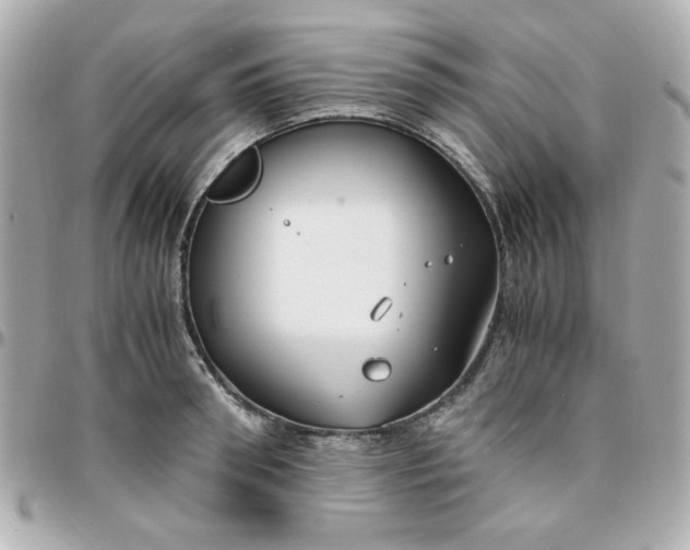 X0000096200898200802011257