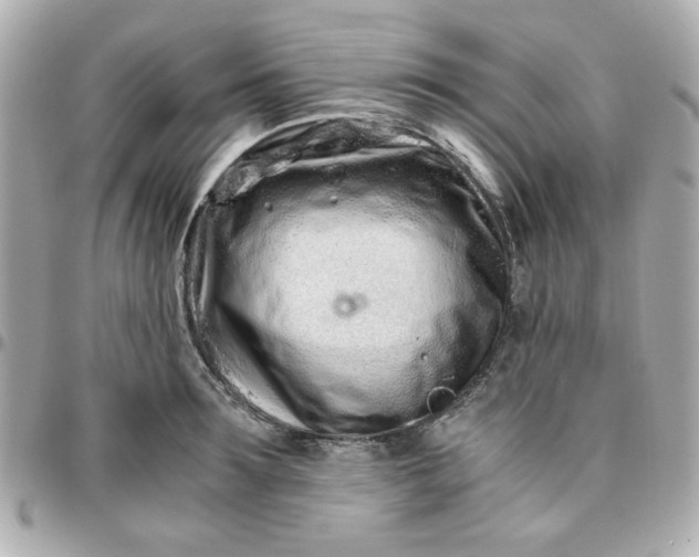 X0000096200899200802011257