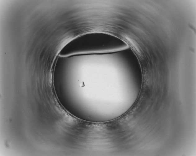 X0000096200900200802011257