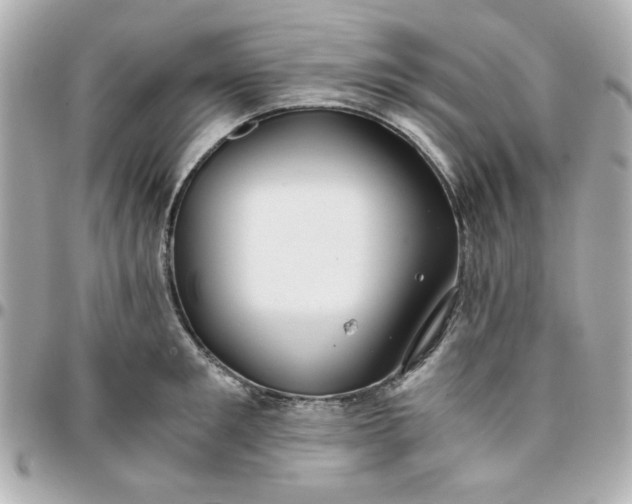 X0000096200901200802011257