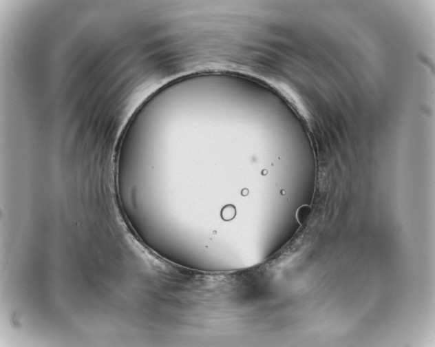 X0000096200903200802011257