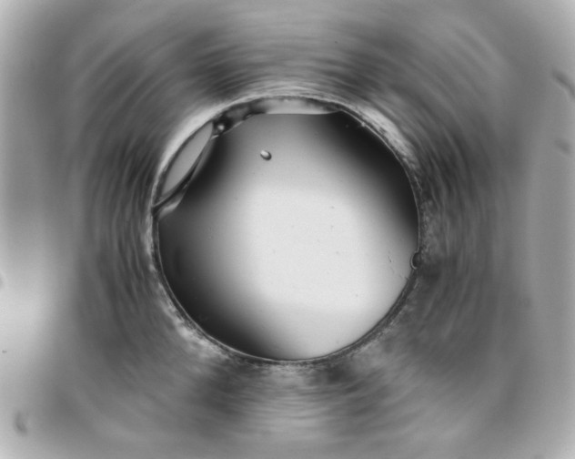 X0000096200904200802011257