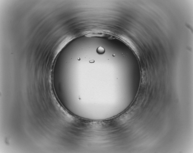 X0000096200906200802011257