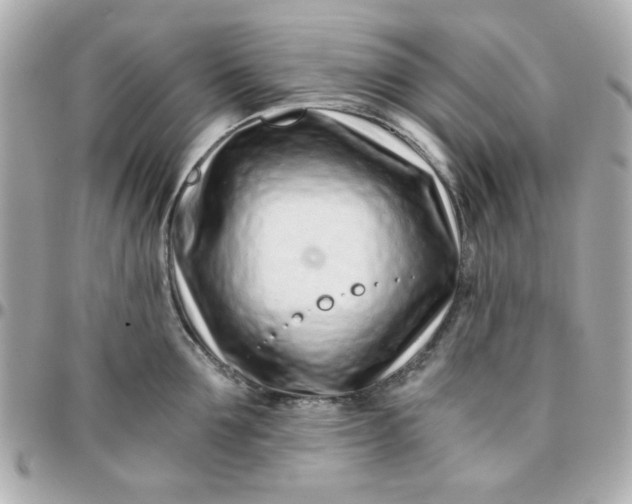 X0000096200907200802011257