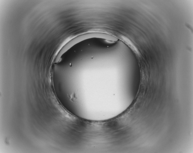 X0000096200908200802011257