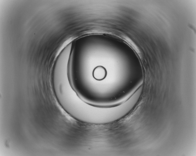 X0000096200909200802011257