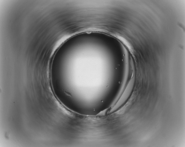 X0000096200910200802011257