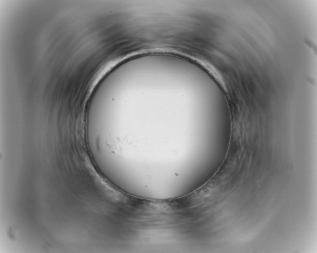 X0000096200911200802011257