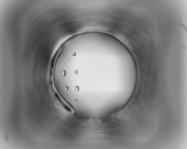 X0000096200912200802011257