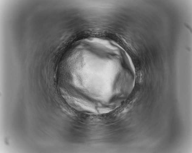 X0000096200913200802011256