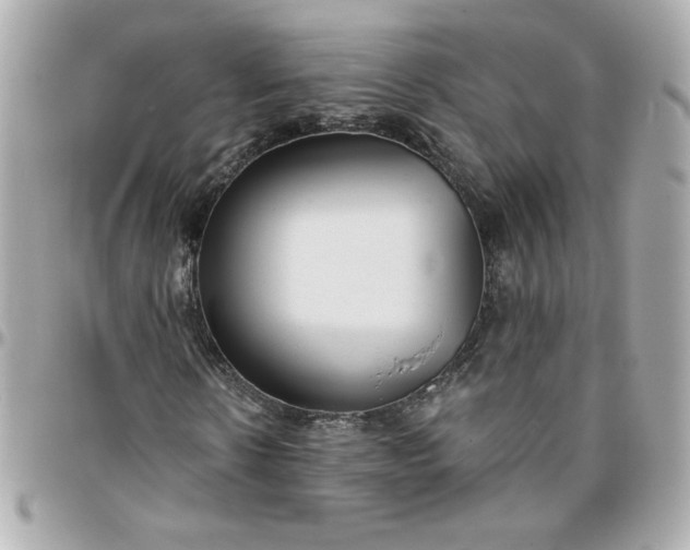 X0000096200914200802011256