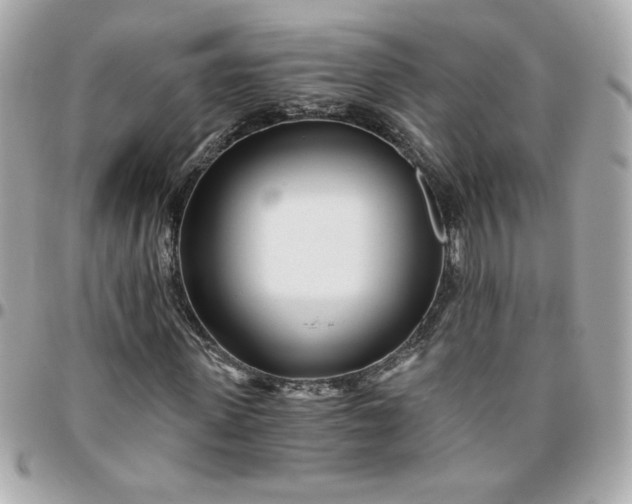 X0000096200915200802011256