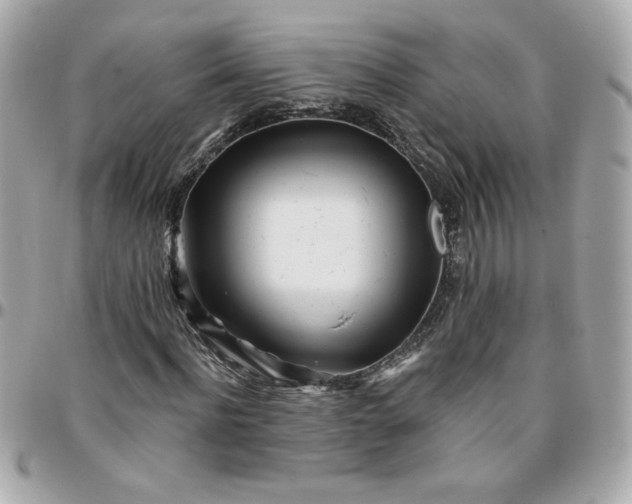 X0000096200916200802011256