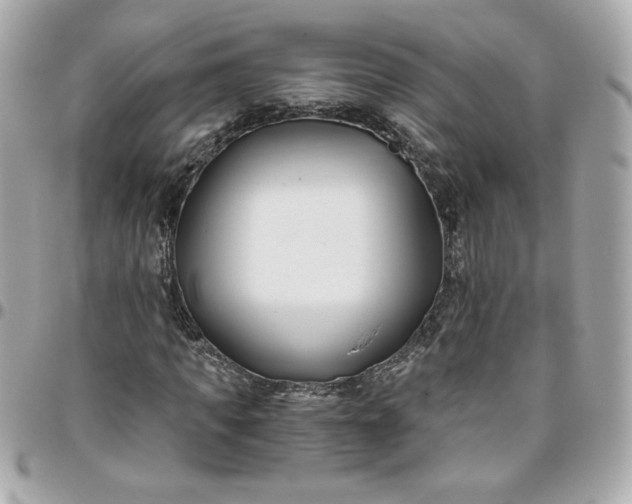 X0000096200917200802011256