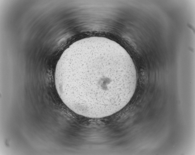 X0000096200918200802011256