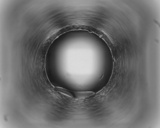 X0000096200919200802011256