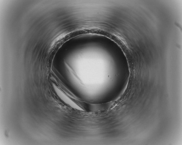 X0000096200920200802011256