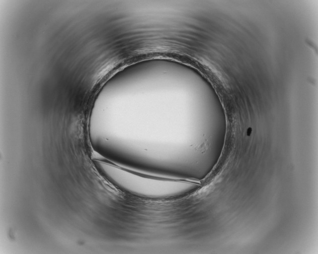 X0000096200921200802011256