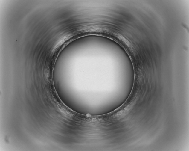 X0000096200922200802011256