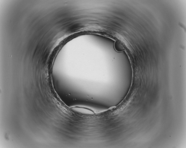 X0000096200923200802011256