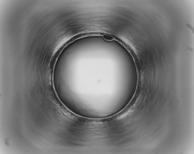 X0000096200925200802011256