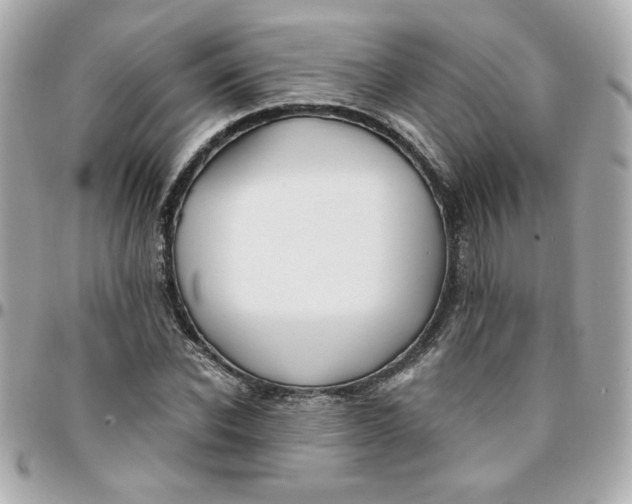 X0000096200926200802011256