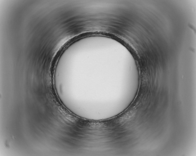 X0000096200927200802011256