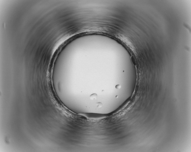 X0000096200928200802011256