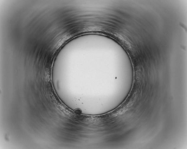 X0000096200929200802011256