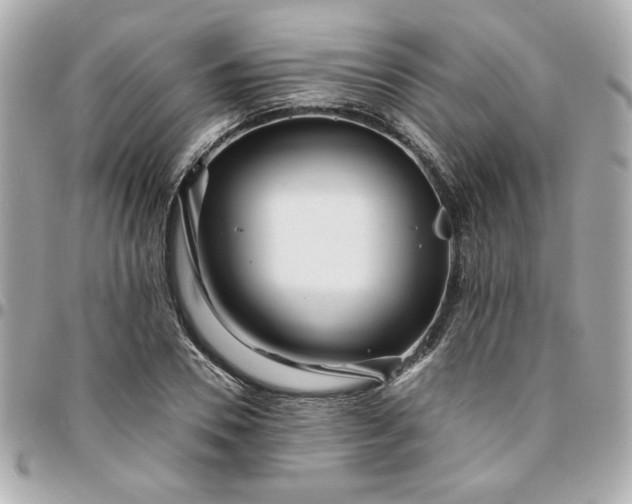 X0000096200930200802011256