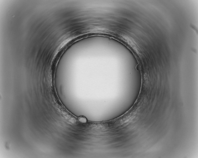 X0000096200931200802011256