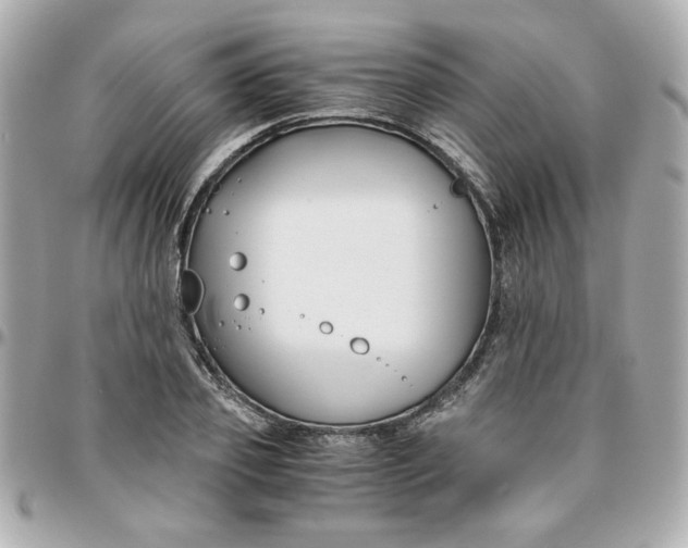 X0000096200933200802011256