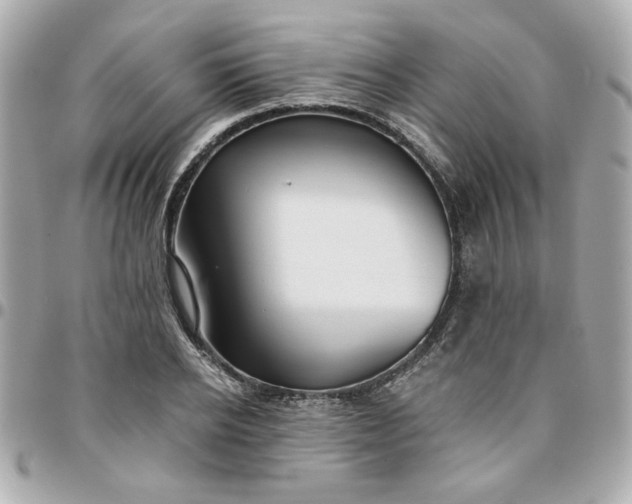 X0000096200934200802011256