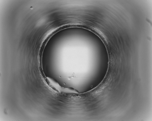 X0000096200935200802011256