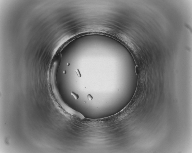 X0000096200936200802011256