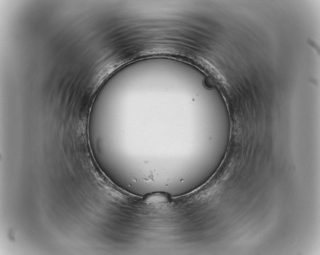 X0000096200937200802011256