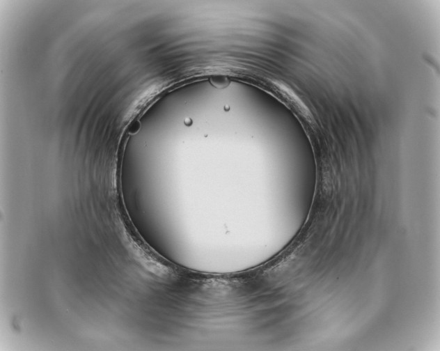 X0000096200938200802011256