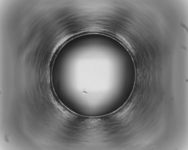 X0000096200939200802011256