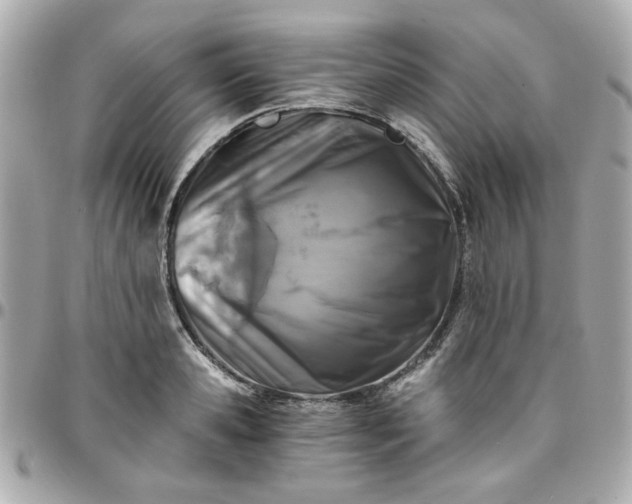 X0000096200941200802011256