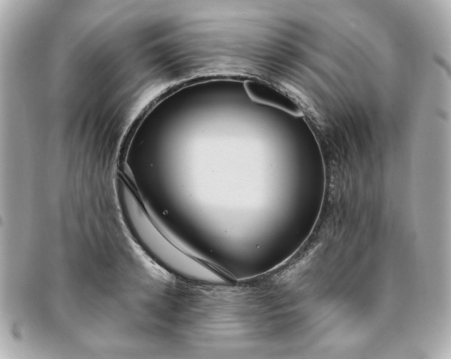 X0000096200942200802011256