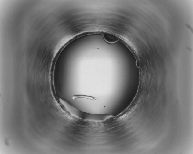 X0000096200943200802011256