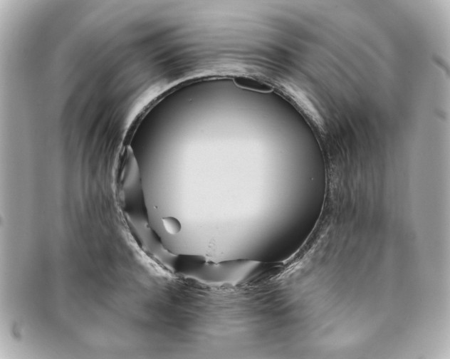 X0000096200944200802011256