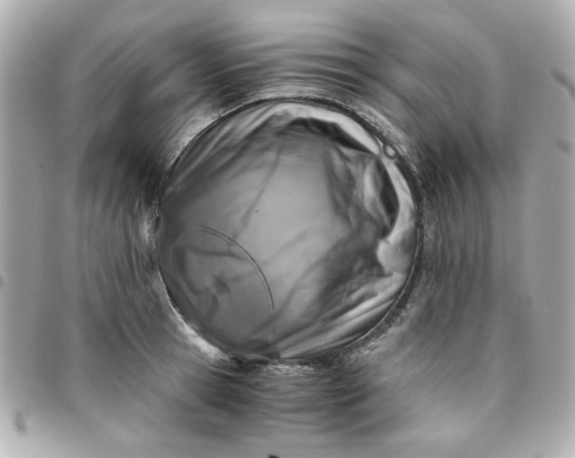 X0000096200945200802011256