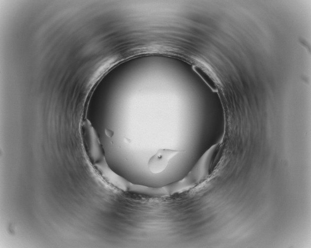 X0000096200946200802011256