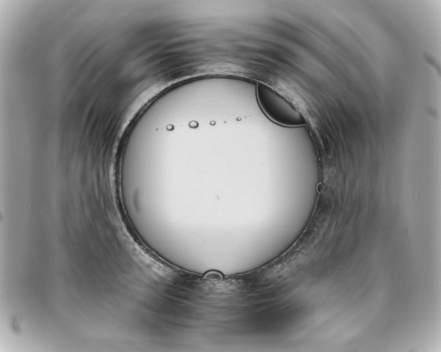 X0000096200947200802011256